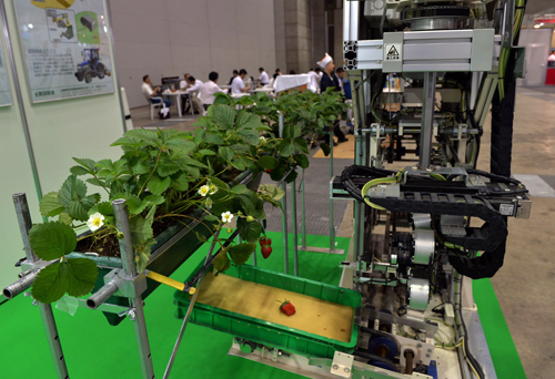 Robot – thế hệ nông dân mới của Nhật Bản? - 1