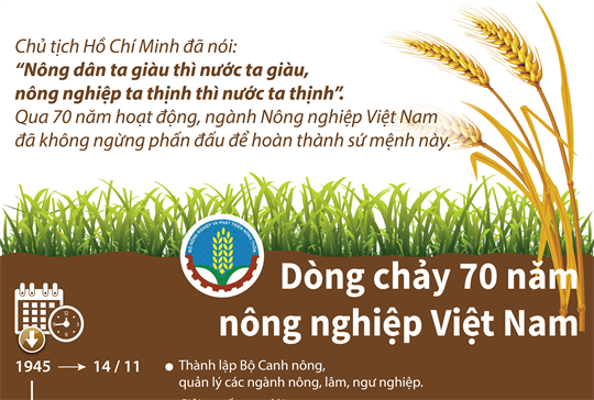 An ninh lương thực: Dòng chảy 70 năm nông nghiệp Việt Nam - 1