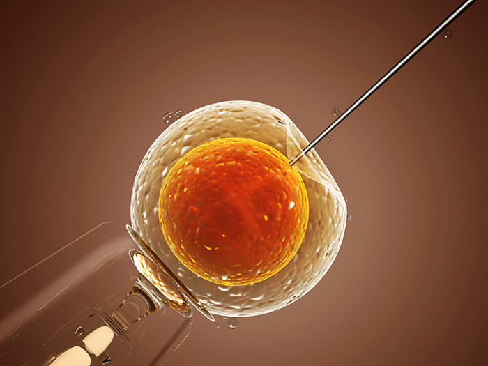 Chính phủ Anh cho phép thử nghiệm kỹ thuật biến đổi gen trên phôi thai người - 1
