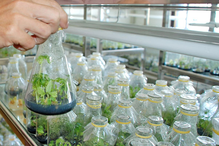 Khoa học cây trồng giúp bảo tồn nguồn nước - 1