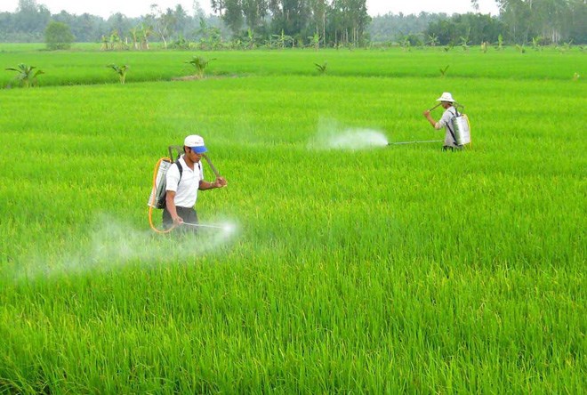 Vì sao Việt Nam nhập thuốc bảo vệ thực vật chủ yếu từ Trung Quốc? - 1