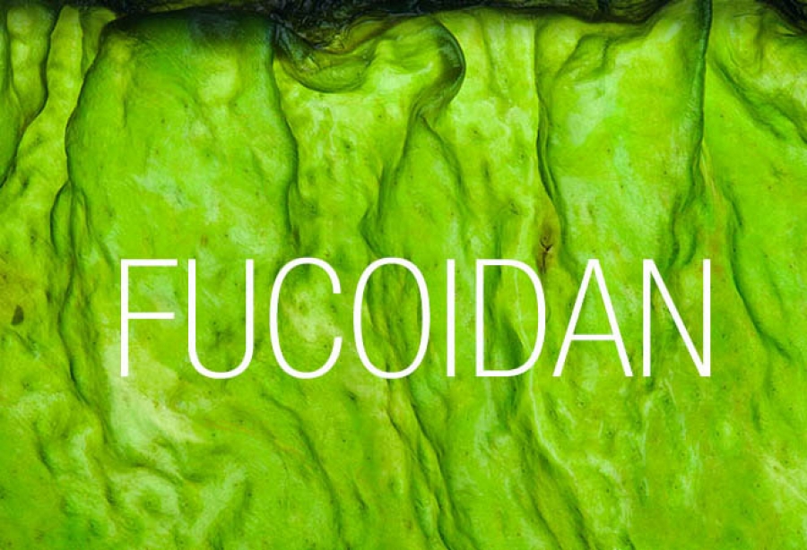 Khoảng hơn 5000 bệnh nhân được hưởng lợi từ Fucoidan - 1